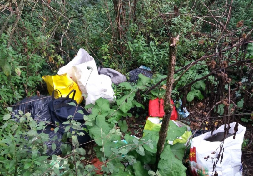 Non può permettersi  una casa e così vive all’interno del parco